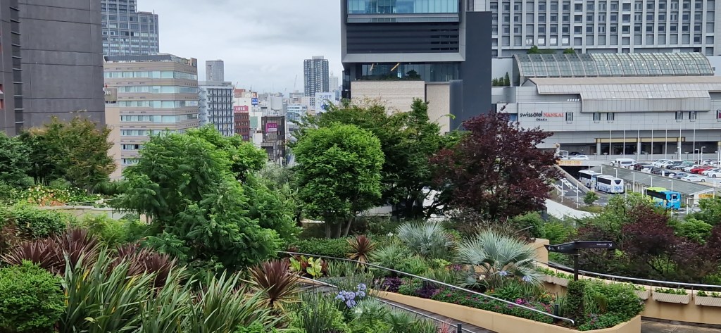 Dag 24: Namba i&nbsp;regn